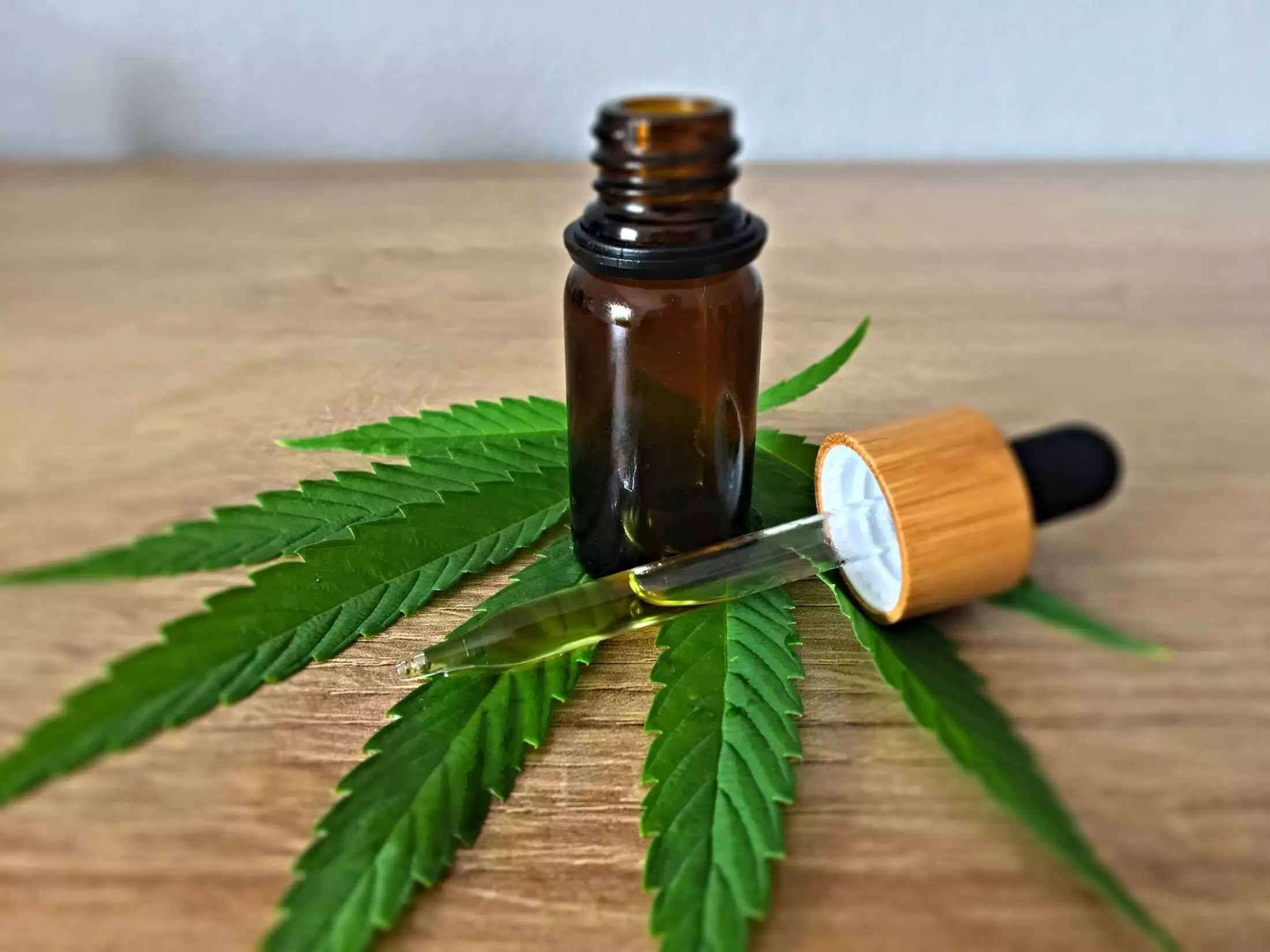 Curiosity to Routine: Why CBD Is Becoming a Daily Essential?